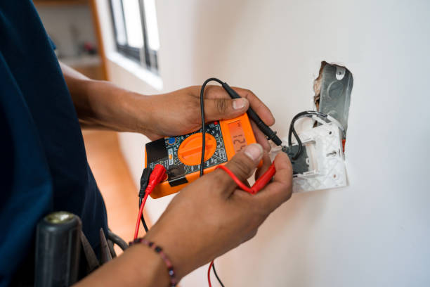Best Best Electricians Near Me  in Brownlee Park, MI