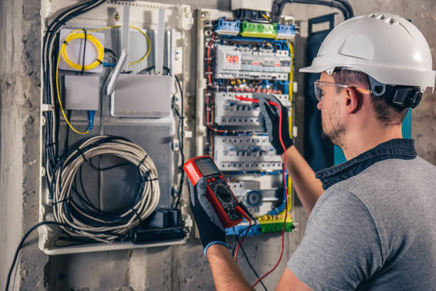 Best Electrical Upgrades for Homes  in Brownlee Park, MI