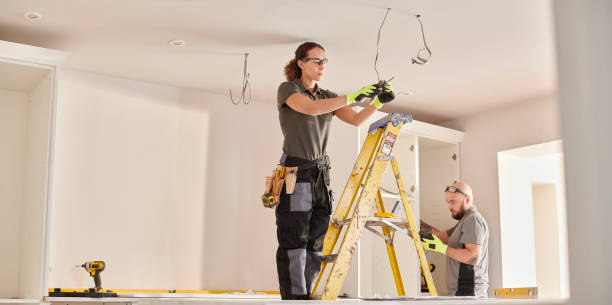 Best Electrical Rewiring Services  in Brownlee Park, MI
