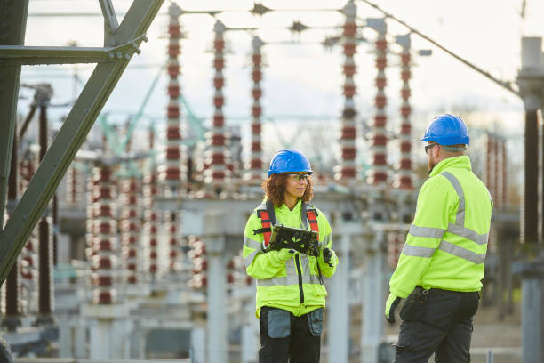 Best Residential Electrician Services  in Brownlee Park, MI