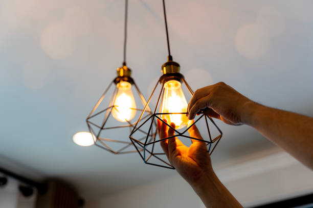 Best Home Electrical Repair  in Brownlee Park, MI