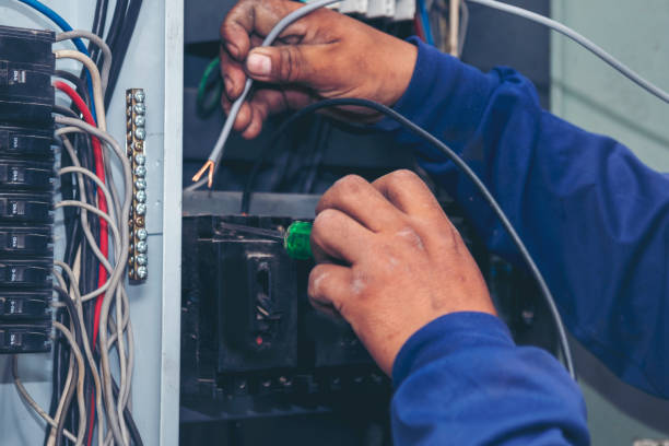 Best Licensed Electrician  in Brownlee Park, MI