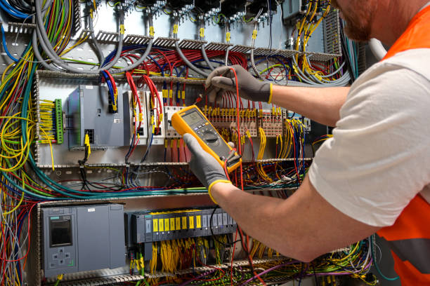 Best Electrical Repair Services  in Brownlee Park, MI
