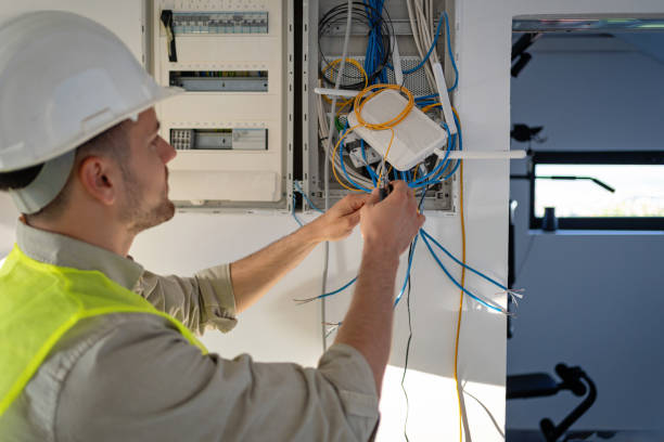 Best Home Electrical Repair  in Brownlee Park, MI