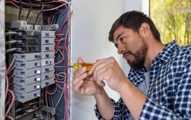 Best Electrician for Home Renovation  in Brownlee Park, MI